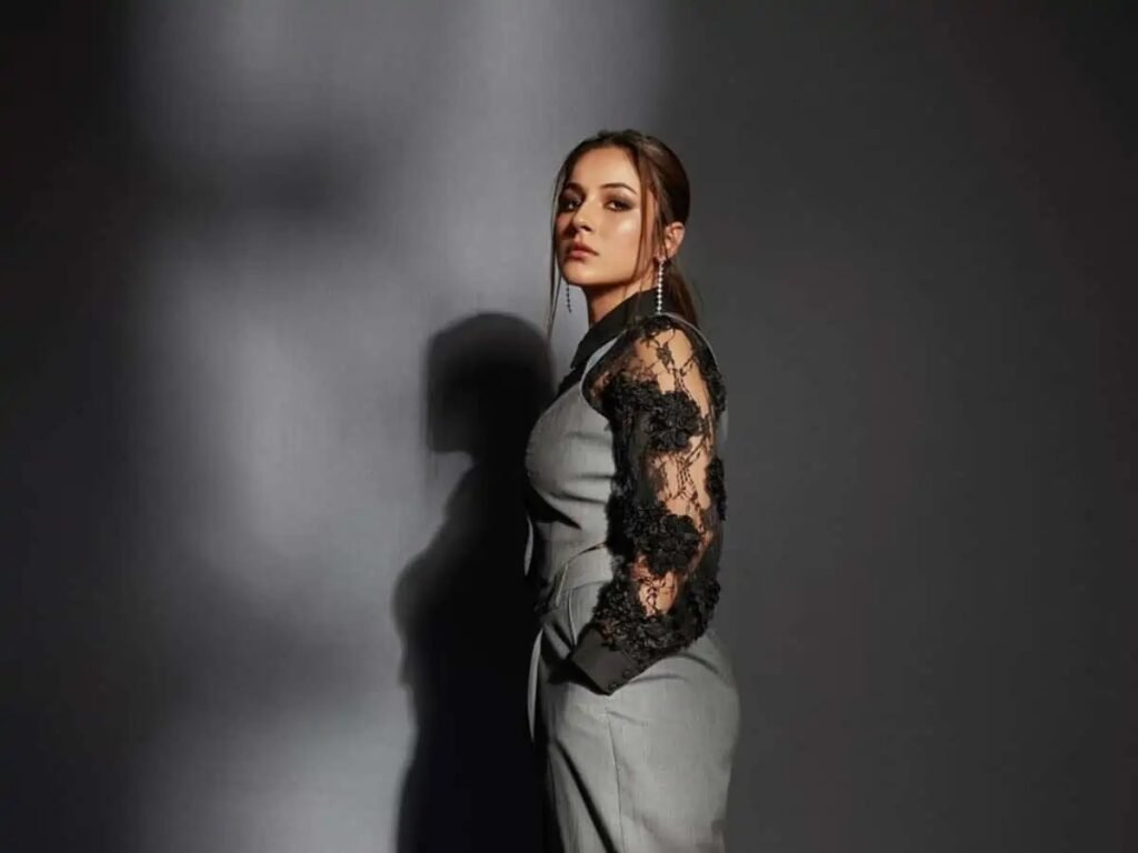 shehnaaz gill net worth