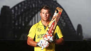 david warner net worth